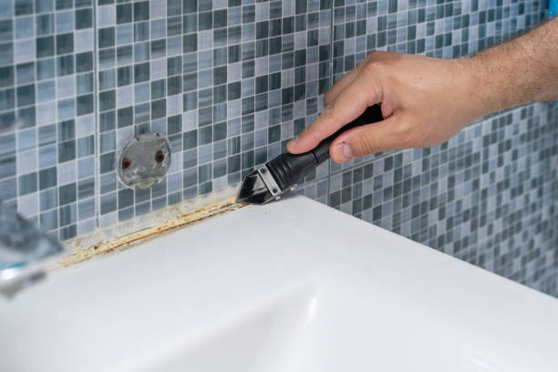 Best Office Mold Removal Services  in Mather, CA