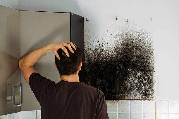 Best Fast Mold Removal  in Mather, CA